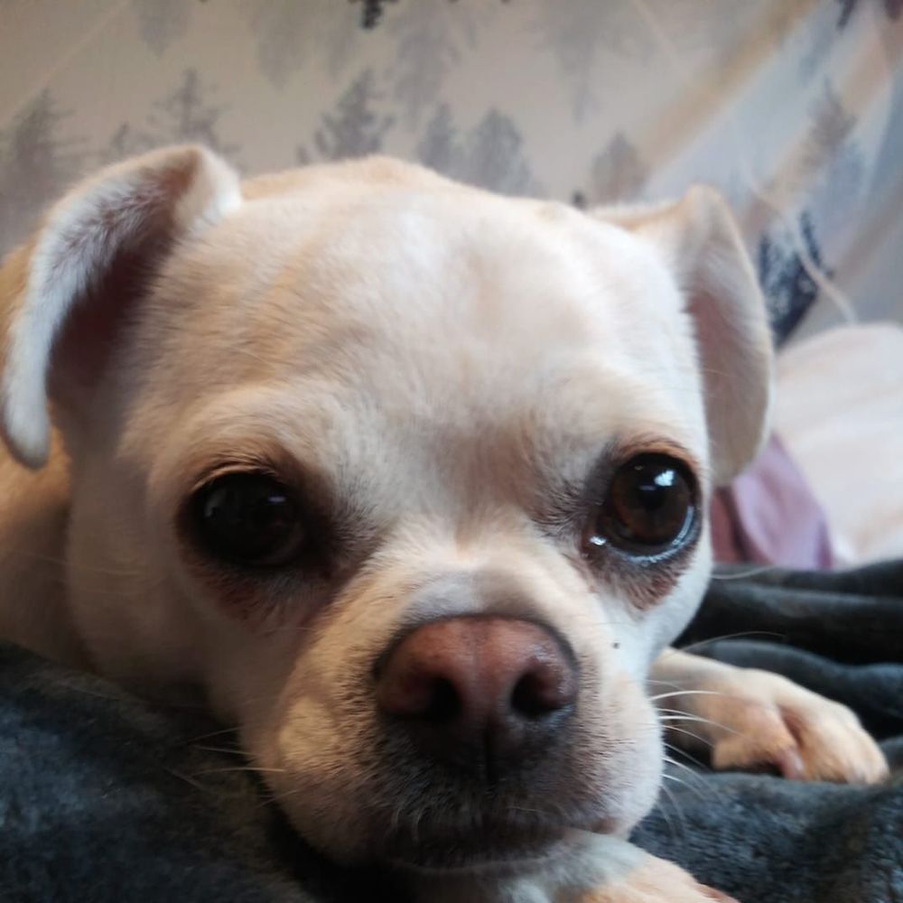 Meet your Posher, Jillian